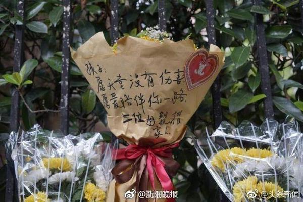 史蒂文斯：塔图姆好胜心极强 即使康复训练也在全力以赴